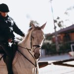 bescherming paardrijden