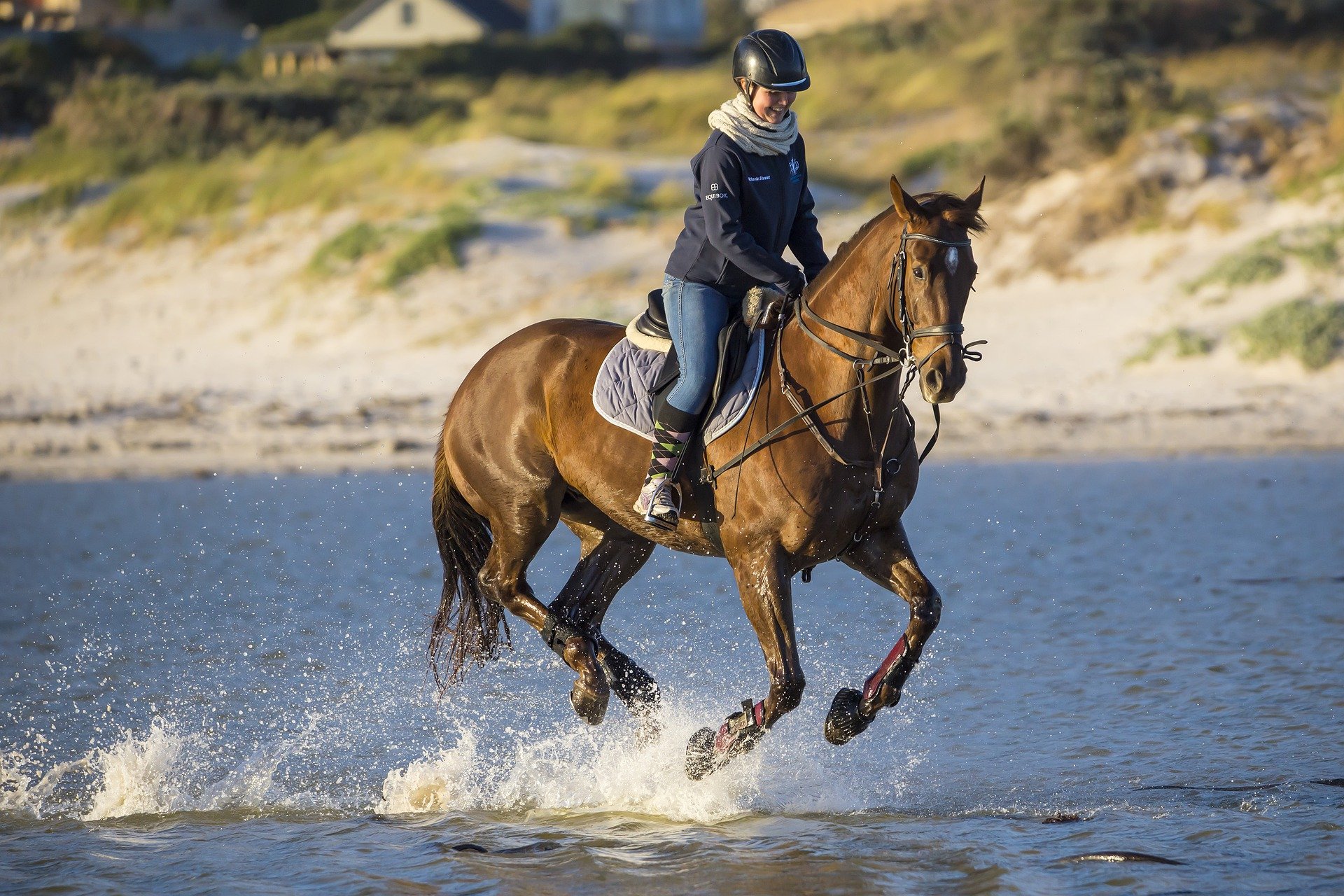 hoe vaak Logisch lancering Is paardrijden een sport of niet? - SportsMania.nl